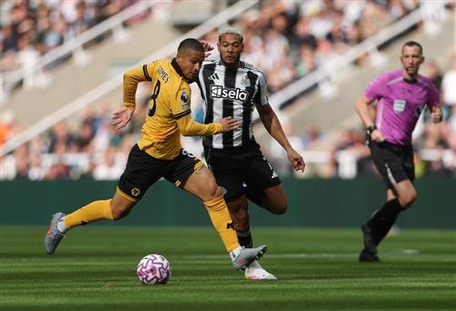 Livescore Bet Login: Quick Access Guide